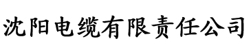 系统宿主被管满的日常电缆厂logo